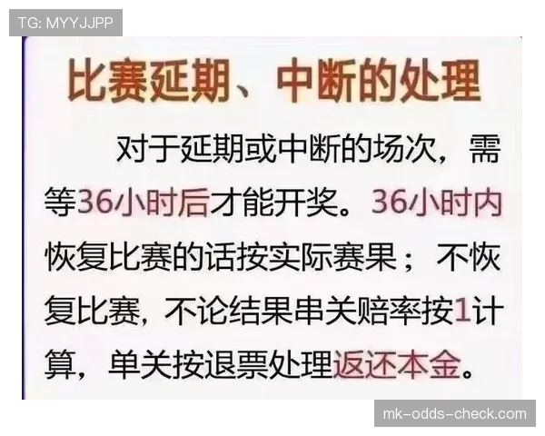 外物入场为何会导致比赛中断？规则如何判罚？